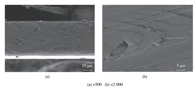 Characteristics Study of Polyetheretherketone (PEEK) Film