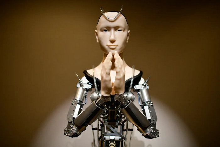 Application of PEEK in Humanoid Robots
