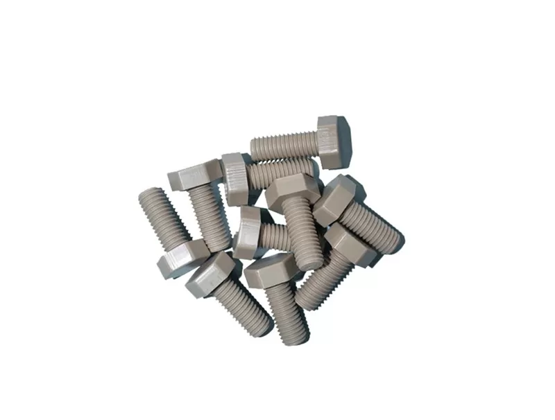 PEEK Bolts